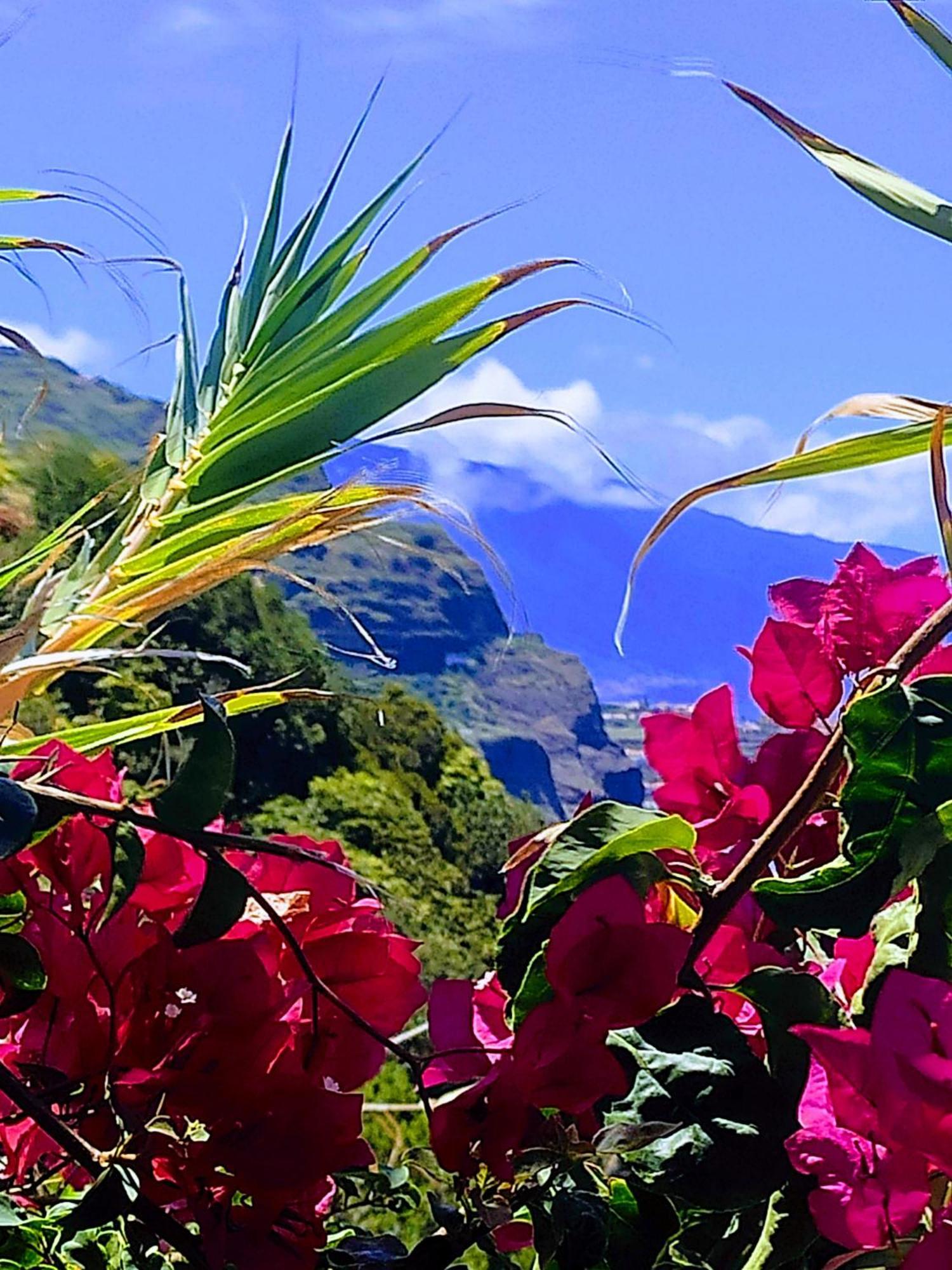 Hotel Bluegreen Arco da Calheta  Exterior foto